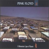 A MOMENTARY LAPSE OF REASON (1987)